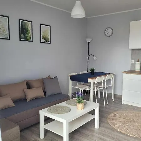 Walowa 2 Apartment